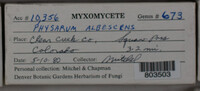 Image Associated With the Occurence